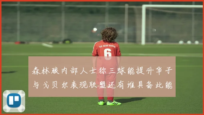 森林狼内部人士称三球能提升华子与戈贝尔表现联盟还有谁具备此能力