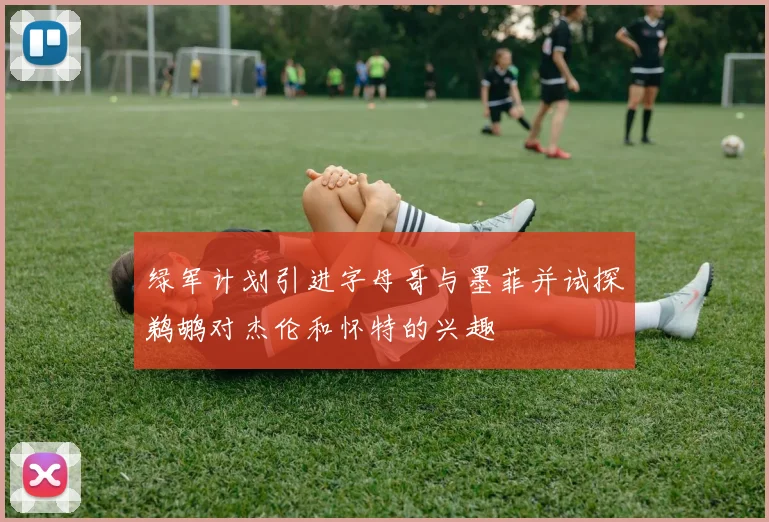 绿军计划引进字母哥与墨菲并试探鹈鹕对杰伦和怀特的兴趣