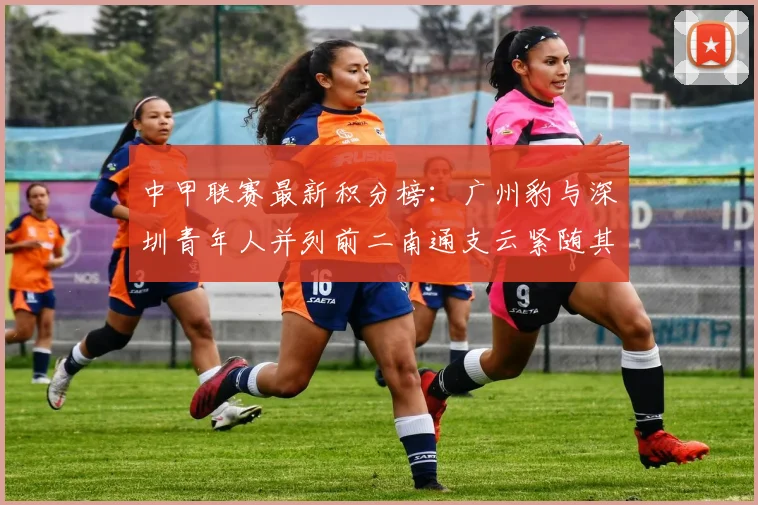 中甲联赛最新积分榜：广州豹与深圳青年人并列前二南通支云紧随其后